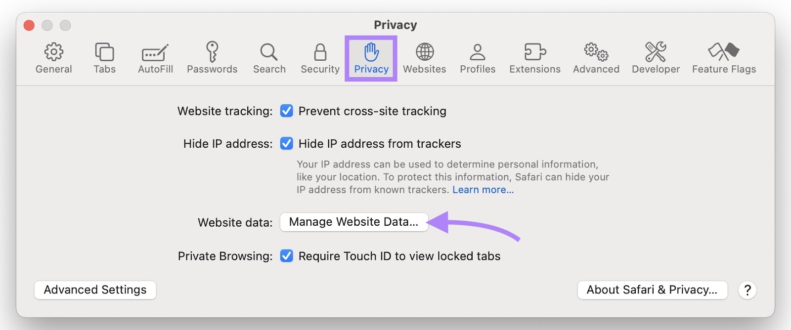"Privacy" tab on Safari settings with "Manage Website Data..." clicked.