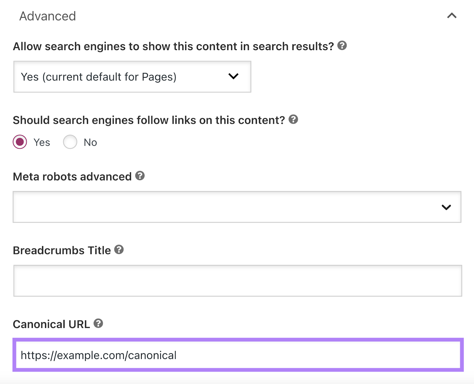 Canonical URL is the final field in the Advanced settings.