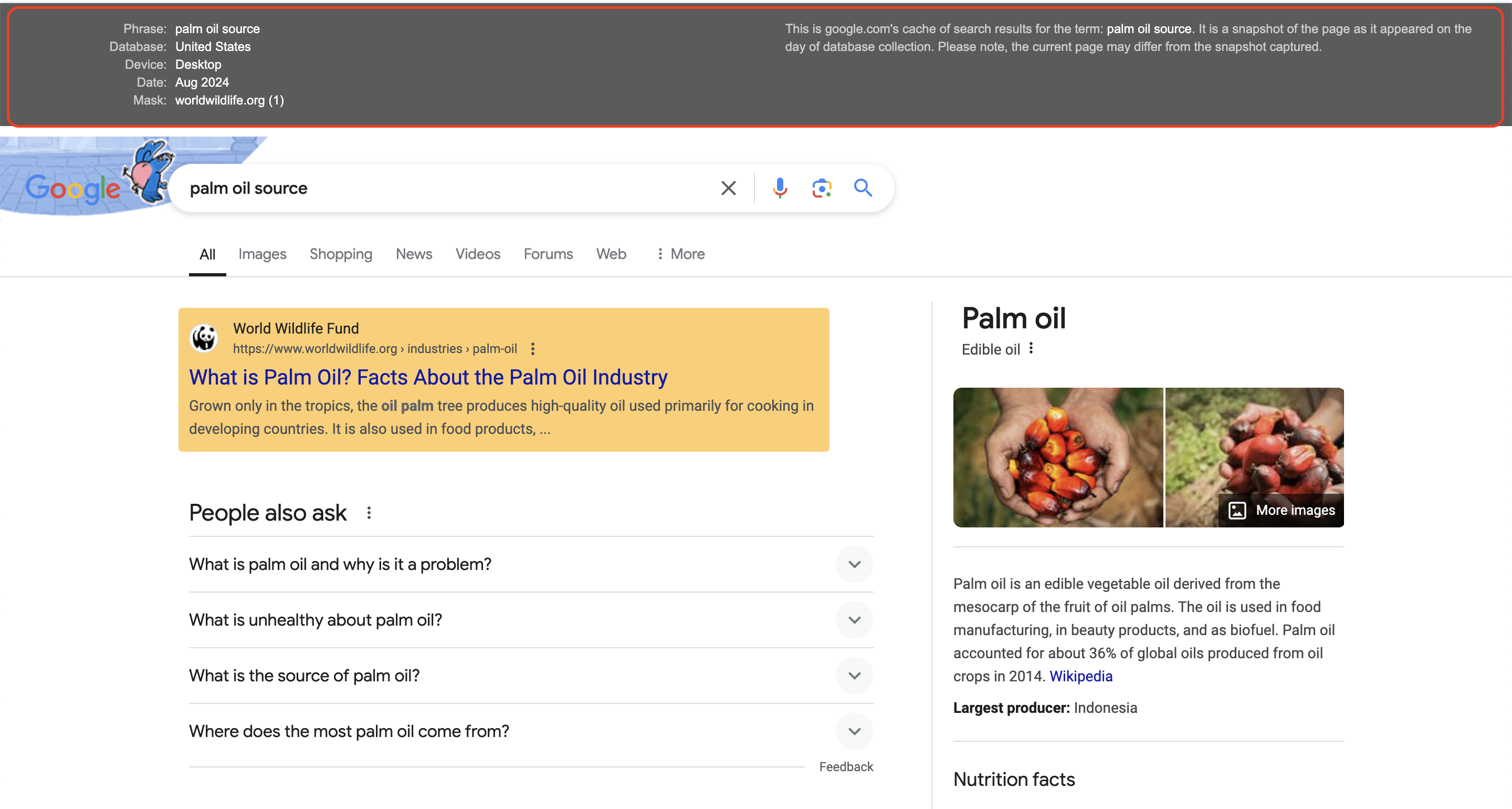 The search engine results page.