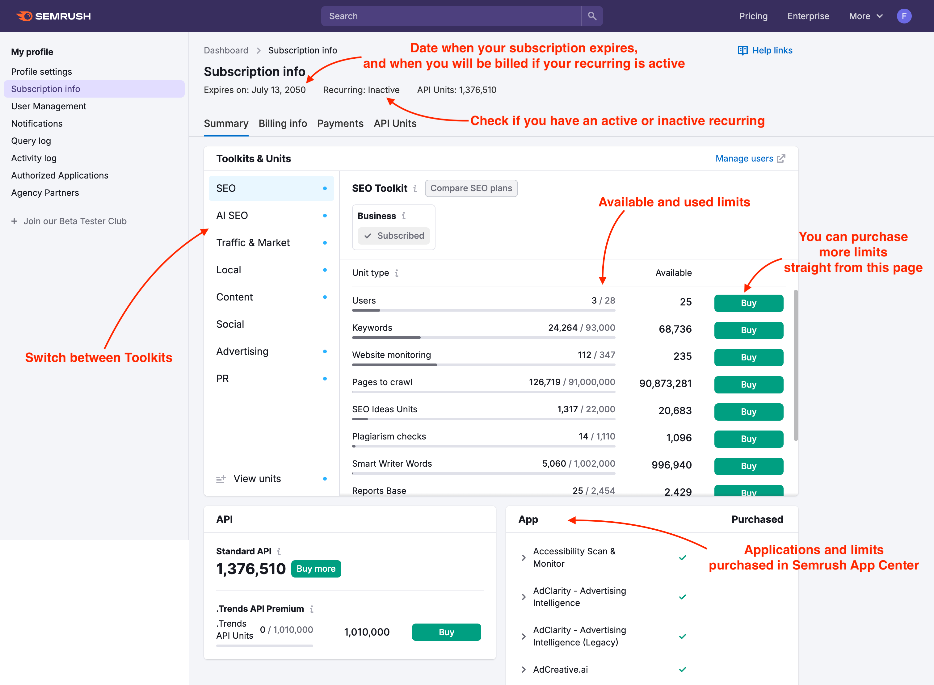 An example of the Summary tab, where you can find your subscription details, on the Subscription Info page.